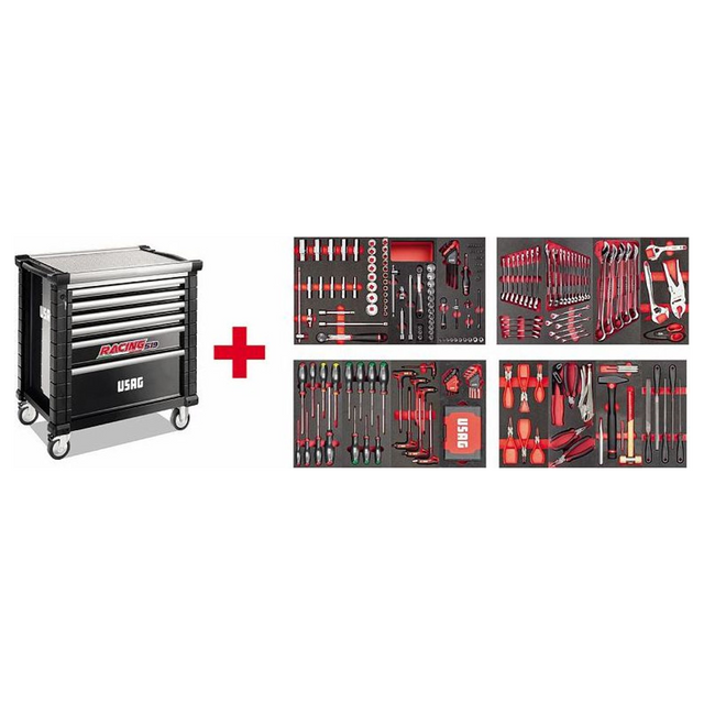 U05191632 - RACING Cart USAG 519 RS6/4NMM with Assortment 495 MC 302 pcs